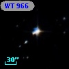 WT  966