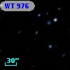 WT  976