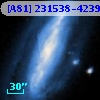 [A81] 231538-4239B
