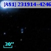 [A81] 231914-4246B