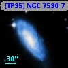 [TP95] NGC  7590   7