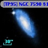 [TP95] NGC  7590  81