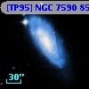 [TP95] NGC  7590  85