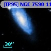 [TP95] NGC  7590 115