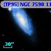 [TP95] NGC  7590 116