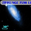 [TP95] NGC  7590 117