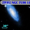 [TP95] NGC  7590 119