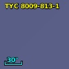 TYC 8009-813-1