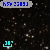 NSV 25091