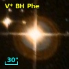 V* BH Phe