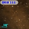 DWB 111