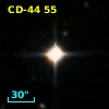 CD-44    55