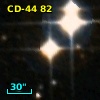 CD-44    82