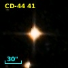 CD-44    41