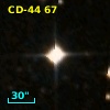 CD-44    67