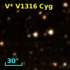 V* V1316 Cyg