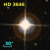 HD   3646