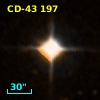 CD-43   197
