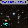 TYC 3162-1223-1