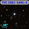 TYC 3162-1441-1