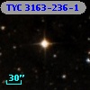 TYC 3163-236-1