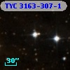 TYC 3163-307-1