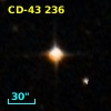 CD-43   236