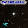 TYC 3163-873-1