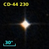 CD-44   230
