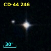 CD-44   246