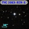 TYC 3163-929-1