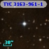 TYC 3163-961-1