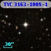 TYC 3163-1008-1