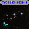 TYC 3163-1020-1