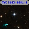 TYC 3163-1081-1