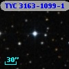 TYC 3163-1099-1