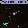 TYC 3163-1185-1