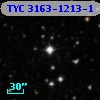 TYC 3163-1213-1