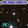 TYC 3163-1302-1