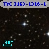 TYC 3163-1318-1