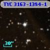TYC 3163-1384-1