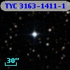 TYC 3163-1411-1