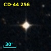 CD-44   256