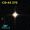 CD-43   275