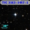 TYC 3163-1487-1