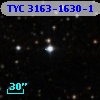 TYC 3163-1630-1