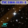 TYC 3164-1135-1