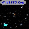 V* V1775 Cyg