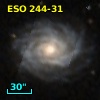ESO 244-31