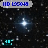 HD 195049